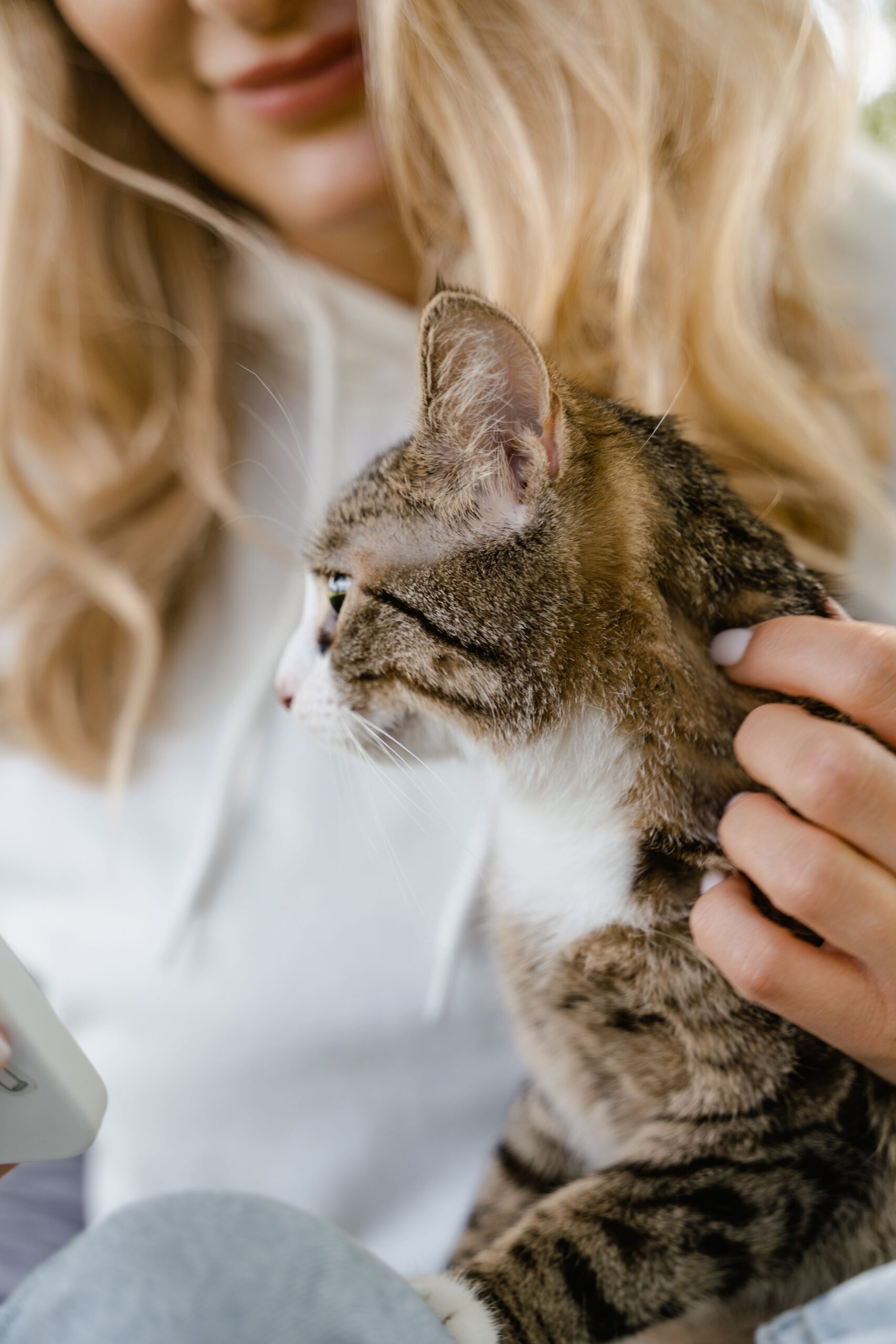 Veterinarian examining a pet at Grace Animal Hospital in Holly Springs NC