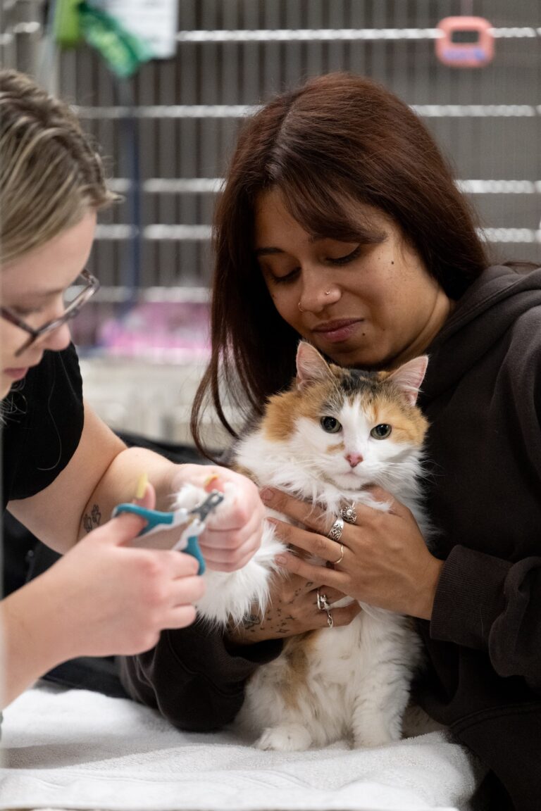 Grace Animal Hospital team photo 10