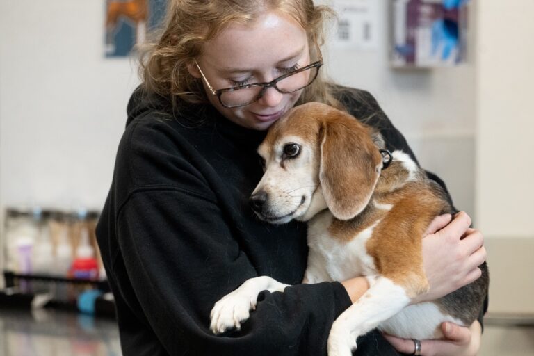 Grace Animal Hospital team photo 2
