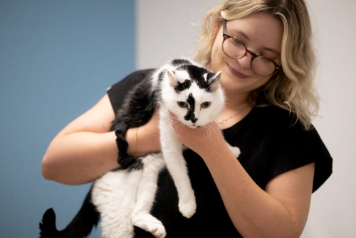 Grace Animal Hospital team photo 6